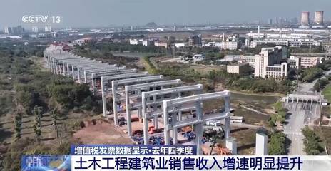 2024年四季度家用视听设备销售洞察 增值税发票数据揭示消费新风向